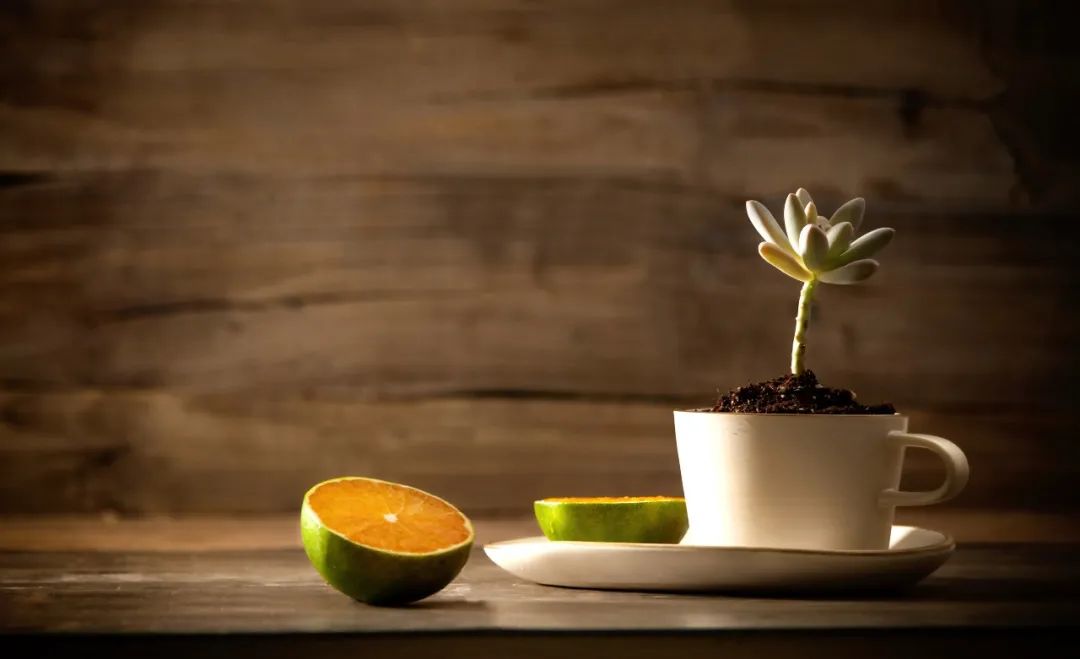 微信图片_20220618102356.jpg 微信图片_20220618102356.jpg