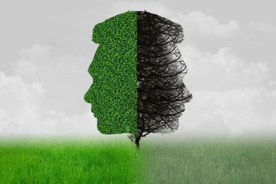 acd28fa426662bfb5aab3488cadec1da.jpg acd28fa426662bfb5aab3488cadec1da.jpg